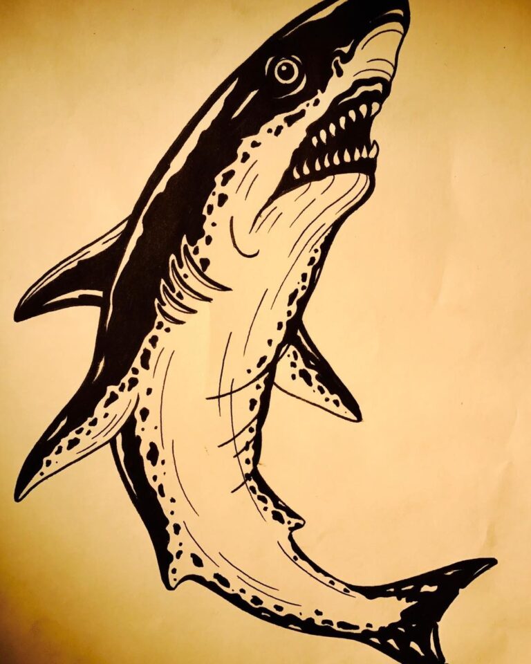 A fierce, black-and-white illustration of a shark leaping out of the water, showcasing its sharp teeth and dynamic pose.